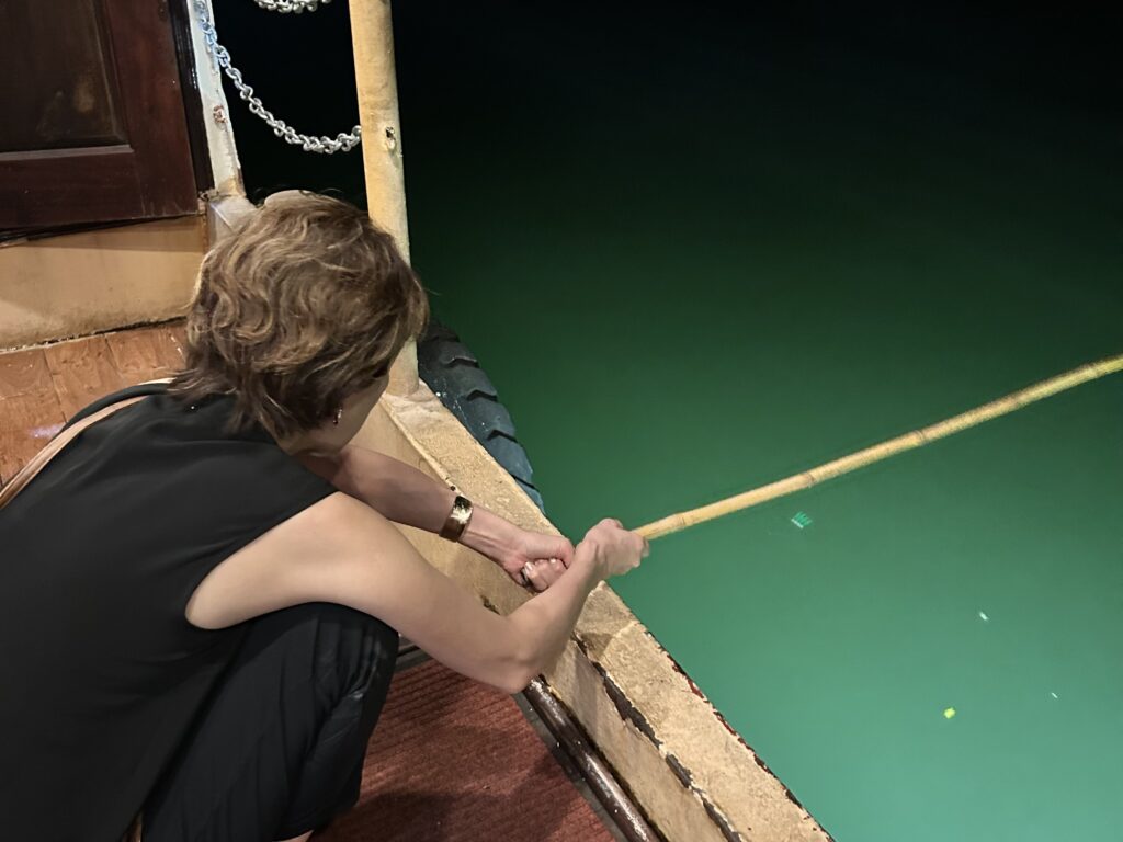 ハロン湾クルーズ